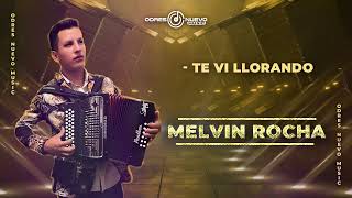 Melvin Rocha Te Vi Llorando (Audio Oficial )