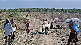 Download Lagu Mengerikan Sekali😭‼️Tantangan Petani Di Ladang Jurang Bekas Hutan,Mencoba Peruntungan Gagal/Sukses🤲🤲 MP3 Download Lagu Mengerikan Sekali😭‼️Tantangan Petani Di Ladang Jurang Bekas Hutan,Mencoba Peruntungan Gagal/Sukses🤲🤲 MP3