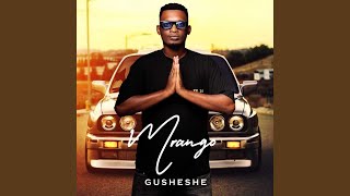 Gusheshe