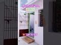 #pollachi #home #construction #trending#viral#reels today#budget house#