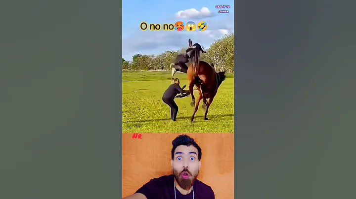 Video 11878241: laugh pets funny cat, cats funny pets animals