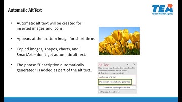 Accessibility Document Training - Word