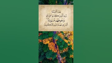 #سورة_الزمر وَيَوْمَ الْقِيَامَةِ تَرَى الَّذِينَ كَذَبُوا عَلَى اللَّهِ وُجُوهُهُم مُّسْوَدَّةٌ ۚ