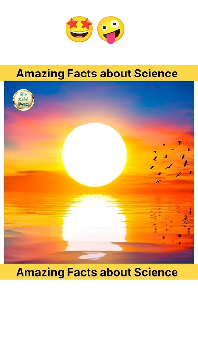 Top 5 Facts About Science Random Facts Facts In Hindi facts top-5-facts-about-science-random-facts-facts-in-hindi-facts