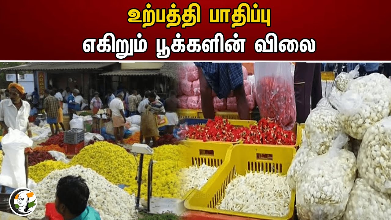 உற்பத்தி பாதிப்பு எகிறும் பூக்களின் விலை | Flowers rate