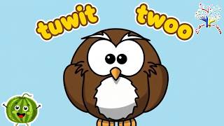 Safari Animal Sounds Song | Nursery Rhyme for Kids - Learn Animal Names and Sounds || EDUFAM