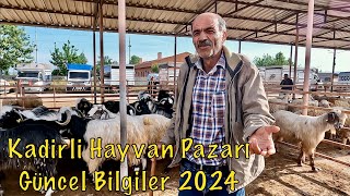 2024 En Güncel Osmaniye Kadirli Hayvan Pazarı Fiyatları / Piyasada Neler Oluyor? 1.Bölüm