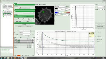 SymPhoTime Tutorial: FLIM ROI fitting