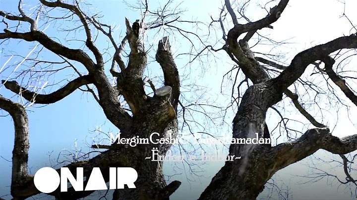 Mergim Gashi & Bujar Ramadani - nderr e hidhur