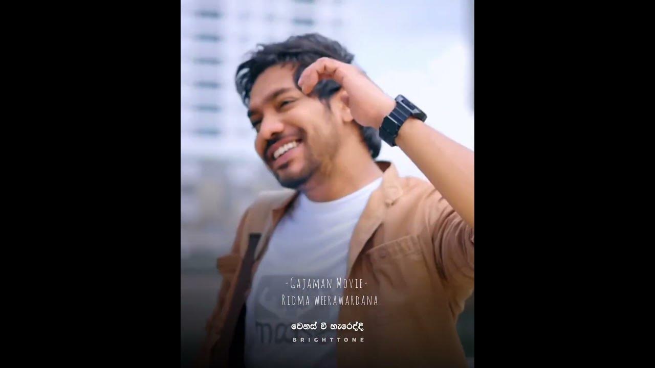 Gajaman Movie Song Bright Tone Lyrics Video gajaman-movie-song-bright-tone-lyrics-video
