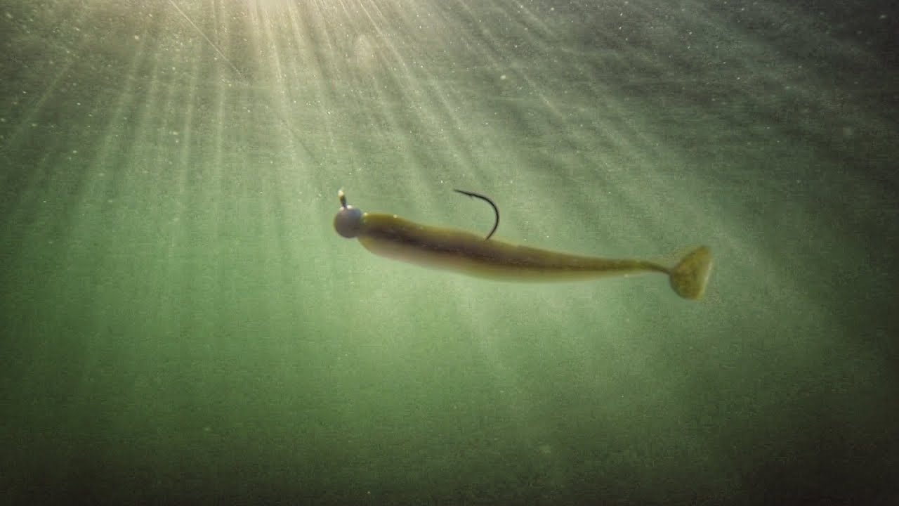 How to Buy a Hard-To-Get Swimbait - On The Water