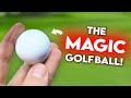 MAGIC STRAIGHT FLYING DIMPLE FREE GOLF BALL | Peter Finch vs Matt Fryer