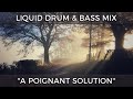  liquid drum  bass mix  a poignant solution  february 2024