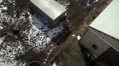 Radio Controlled Reconnaissance: A Bird