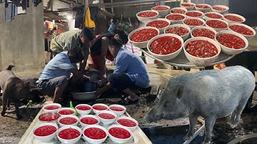 Tiết Canh, Thịt Lợn Lai Rừng Làm Cỗ Tục Lệ Vào Nhà Mới | Nguyên TM