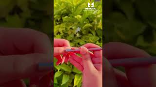 Must Have Manicure Tool for Nail Lovers #shortsviral  #shorts  #beautytools