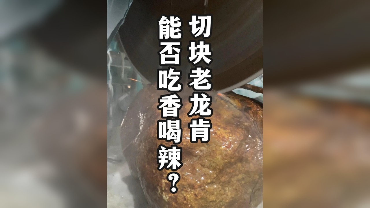 感谢大家的支持