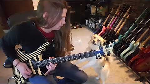 Brandon Ellis 6-3-17