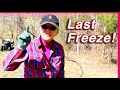 Wrapping up March, Part 1! Seedlings, sunroom challenge, moving hazelnuts and more!