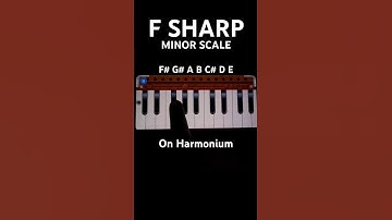 F Sharp Minor Scale On Harmonium #harmonium #learnmusic #shortsfeed #musictheory
