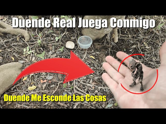 Duendes mito o realidad? – NerdGame