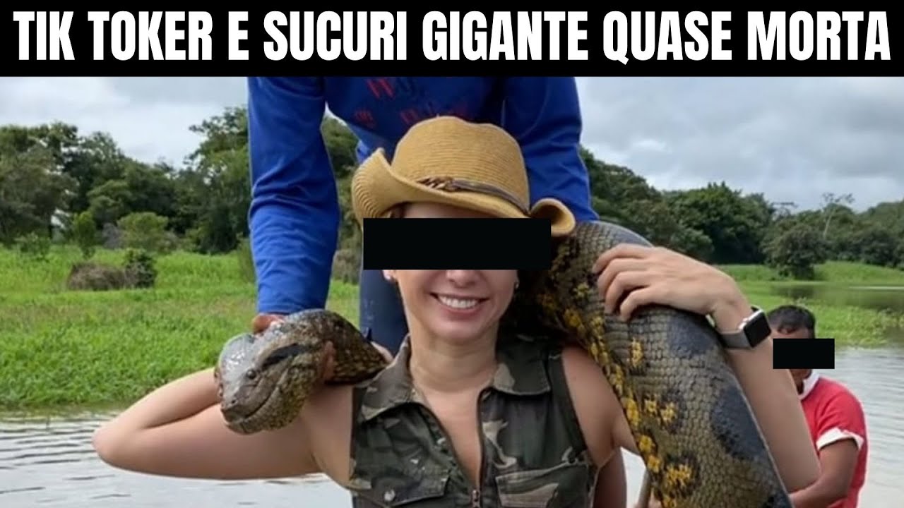 Tik Toker e Sucuri Gigante | Biólogo Henrique o Biólogo das Cobras