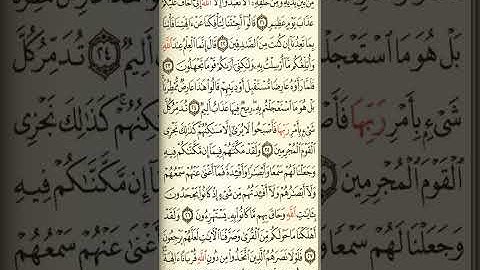 @آيات مباركة من سورة( الاحقاف )اخي الفاضل تفكر بها من الآية الكريمة (٢٠-٢٨)
