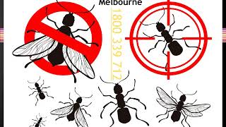 Fast Pest Control Melbourne 1800 339 712 Pest Control Melbourne