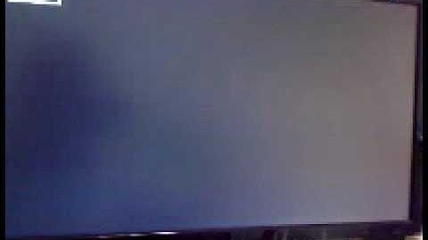 Snow Leopard by Hazard