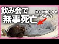 32歳コミュ障、会社の飲み会が想像以上に辛すぎた。#ぼっち酒 #酒飲み女