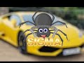 Sigma Spider DJ Basketball Sack MANLY PHONK MUSIC For MANLY SIGMA MEN Sigma Spider DJ Basketball Sack MANLY PHONK MUSIC For MANLY SIGMA MEN