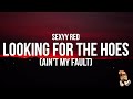 Sexyy Red - Looking For the Hoes (Ain