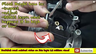 04 How to inspect and adjust float level on a carburetor. BONUS: RICH LEAN Fuel Settings explained! screenshot 4
