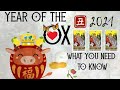 2021 Year of the Ox: What You Need to Know | PICK A CARD!