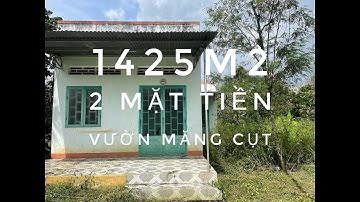 1425m2 có 2 mặt tiền, ấp 2, Bình Lộc, Long Khánh, Đồng Nai