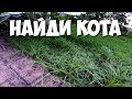 Найди кота, часть 10 🐈 БУДЬ В КУРСЕ TV