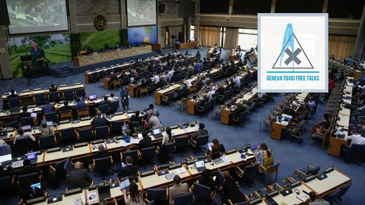 Making Human Rights Central in the Chemicals and Waste Discussions | Geneva Toxic Free Talks