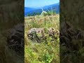 نباتي اكسبلور البخل Nature موسيقار المغرب Mountains الجيلي النحل تيك توك نباتي اكسبلور البخل Nature موسيقار المغرب Mountains الجيلي النحل تيك توك