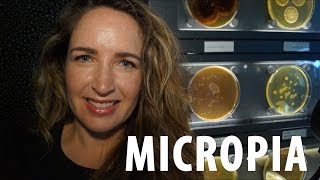Download lagu Micropia See the Invisible Amsterdam Micropia See the Invisible Amsterdam