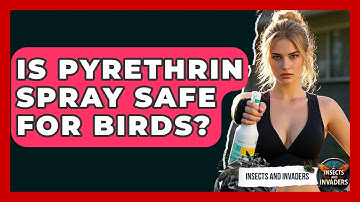 Is Pyrethrin Spray Safe For Birds? - Insects and Invaders