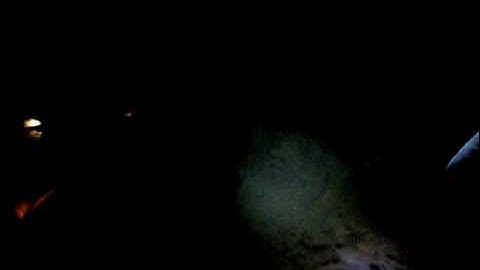 Green turtle laying eggs on Selingan Turtle Island Sabah Borneo