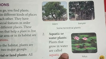 Class-4 | Leatning Science Lesson-8 Adaptations in Plants | Part-1 | What is Adaptation ?