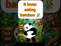 Guess the animal 🐼Fun learning for kids #AnimalQuiz #Panda #KidsLearning #TinyGenius #Shorts