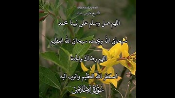 سورة الإخلاص | الشيخ فارس عباد،استغفر الله العظيم واتوب اليه، تلاوه خاشعه