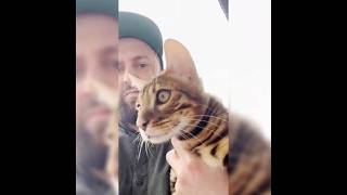 I Found a Cat and Used AI Assistant to Learn About Him! 🐱🤖