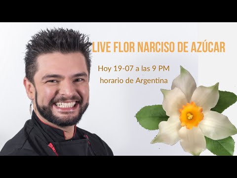 Vídeo: O que é um narciso peruano - Aprenda a cuidar de narcisos peruanos no jardim