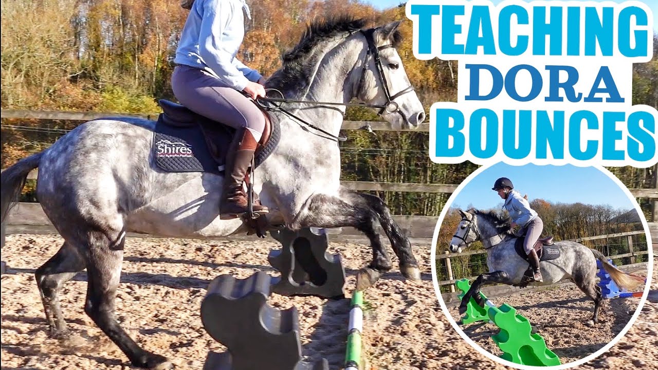 Play: A calm, detailed horse training and farm walkthrough