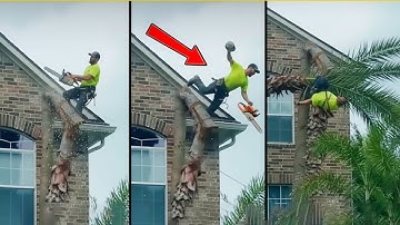 Idiots With Chainsaws: Tree Cutting Fails | Extreme Dangerous Logging Truck Fails #9