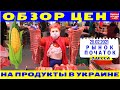 Срочно!!! Обзор цен на продукты Украина /  Рынок Початок Одесса 25.02.2021