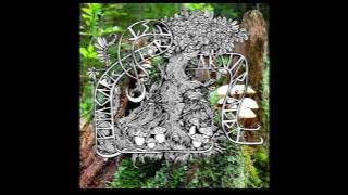 Flyagaric Forest - Ar Var Alda [Full Album]